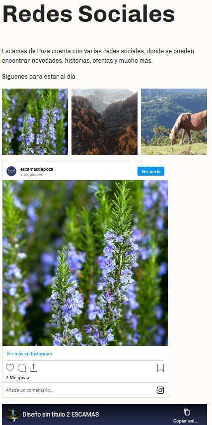Sección de redes sociales de la web