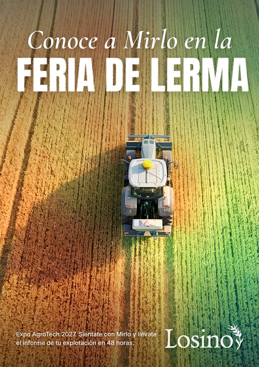Cartel de la Feria de Lerma