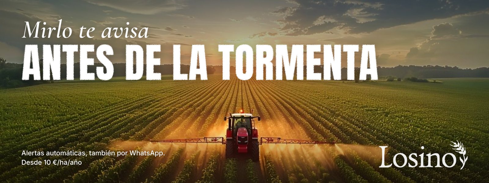 Valla: Mirlo te avisa antes de la tormenta